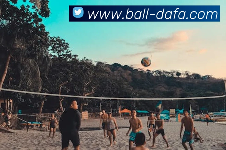 大发官网APP 封面图